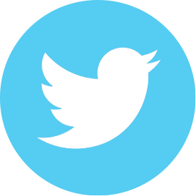 Twitter Icon