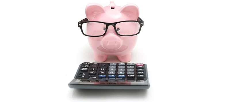 set the budget
